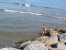 4. Restliche ZEBU-Dorf Narbonne Plage