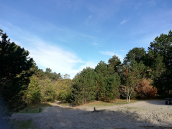 Bilder von Ausfl&uuml;gen vom Ferienhaus f&uuml;r Gruppen 03313248 Gruppenhaus MOLENZICHT in Niederlande 4323 Ellemeet f&uuml;r Familienfreizeiten