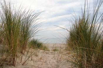 1. Land u. Leute