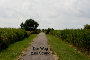2. Restliche