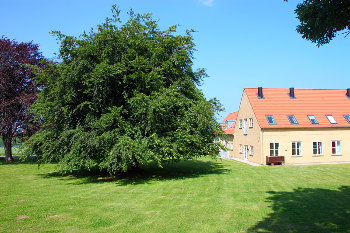 4. Aussenansicht