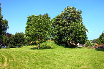 1. Spielwiese