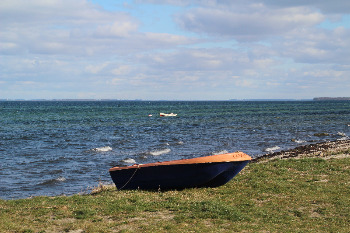 7. Wasser