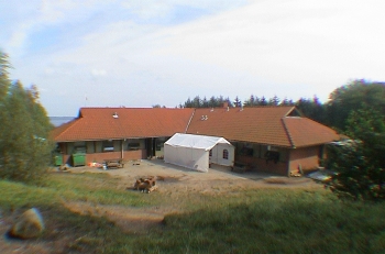 2. Aufmacher