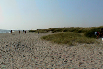 2. Wasser
