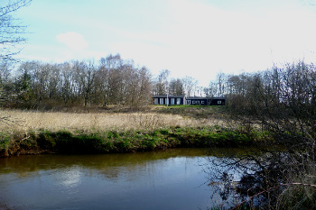 4. Aufmacher