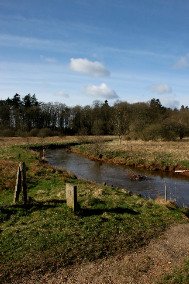 3. Wasser