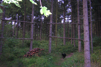 5. Gelände
