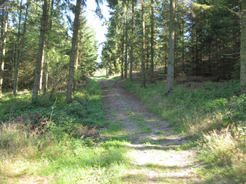 6. Sportplatz