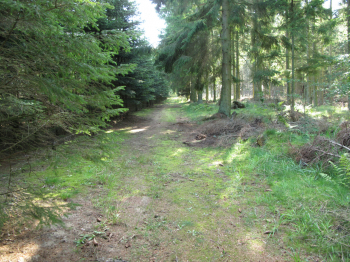 4. Sportplatz