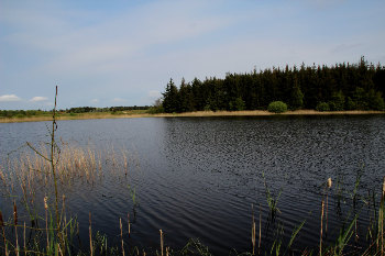 3. Wasser