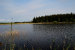 3. Wasser Ferienhaus SKOVHYTTERNE I MARBÆK