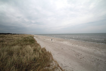 7. Wasser