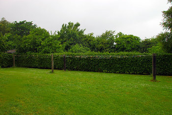 7. Gelände