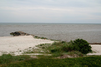 5. Wasser