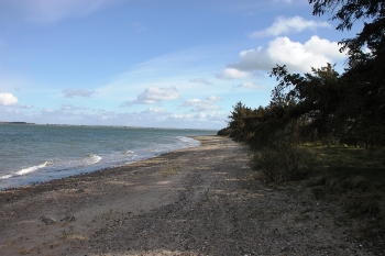 4. Wasser
