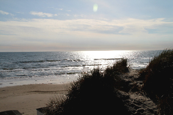 4. Wasser