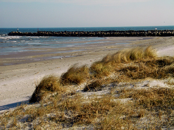 6. Wasser