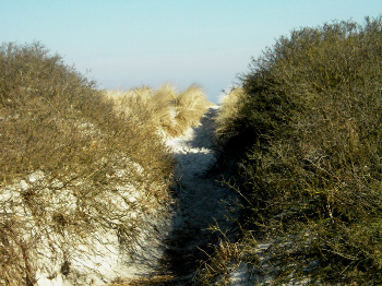 5. Wasser