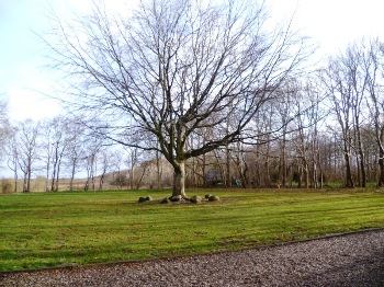 6. Gelände