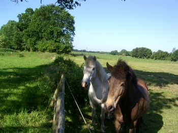 3. Land u. Leute