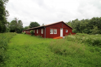 2. Aufmacher