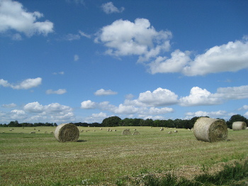 1. Land u. Leute