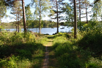 1. Wasser