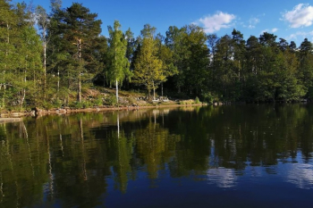 4. Wasser