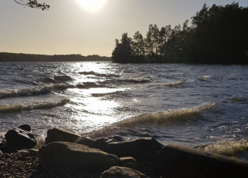 5. Wasser