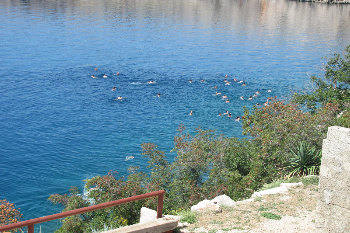 7. Wasser