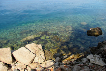 8. Wasser