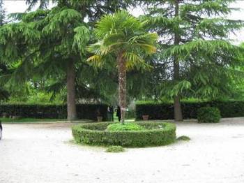 10. Aussenansicht