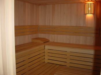 1. Sauna