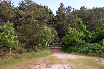 4. Gelände