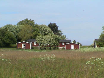 3. Aufmacher