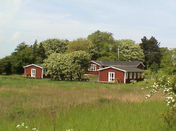 Bilder vom Gelände vom Selbstversorgerhaus 03453829 KLK-Gruppenhaus - SKOVBYHOLM in Dänemark 4840 Nr. Alslev für Familienfreizeiten