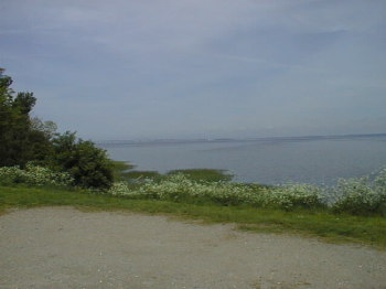2. Wasser