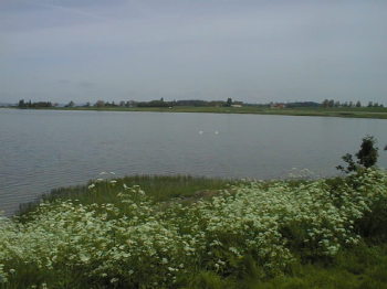 3. Restliche