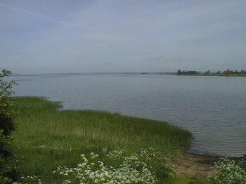 3. Wasser