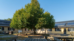 Terrassenbilder vom Selbstversorgerhaus 03453102 Gruppenhaus BOGENSHOLMLEJREN in Dänemark 8400 Ebeltoft f�r Jugendfreizeiten