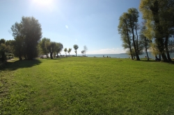 Bilder vom Gel&auml;nde vom Selbstversorgerhaus 09399100 Gruppenhaus La Casa sul Lago in Italien I-06063 PG Torricella de Magione f&uuml;r Familienfreizeiten