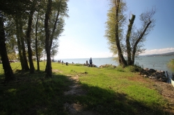 Bilder vom Gel&auml;nde vom Selbstversorgerhaus 09399100 Gruppenhaus La Casa sul Lago in Italien I-06063 PG Torricella de Magione f&uuml;r Familienfreizeiten