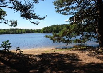 1. Wasser