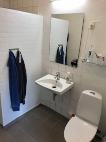 1. Sanitär