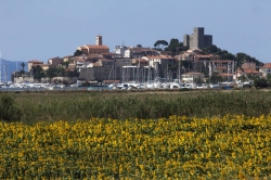 Bilder von Ausfl�gen vom Ferienhaus f�r Gruppen 00390201 ZEBU<sup>®</sup>-Dorf TALAMONE-TOSKANA - M - in D�nemark 58015 Orbetello f�r Familienfreizeiten