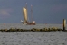2. Gelände Segelschiff ANNA CATHARINA
