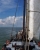 4. Restliche Segelschiff NIEWE MAEN