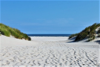 1. Wasser
