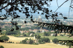 Bilder von Land und Leuten vom Gruppen-Ferienhaus 05395448 Gruppenhaus Assisi in D�nemark 06081 Assisi f�r Sommerfreizeiten